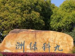 -九科绿洲