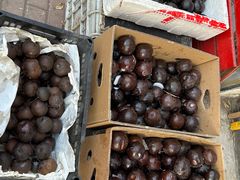 -哈尔滨北方国际青年旅舍(中央大街店)