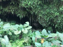-海口火山口国家地质公园
