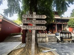 -长春观