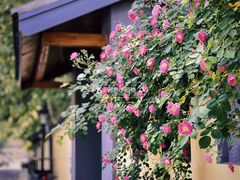 -颐和路民国时期公馆-风貌区