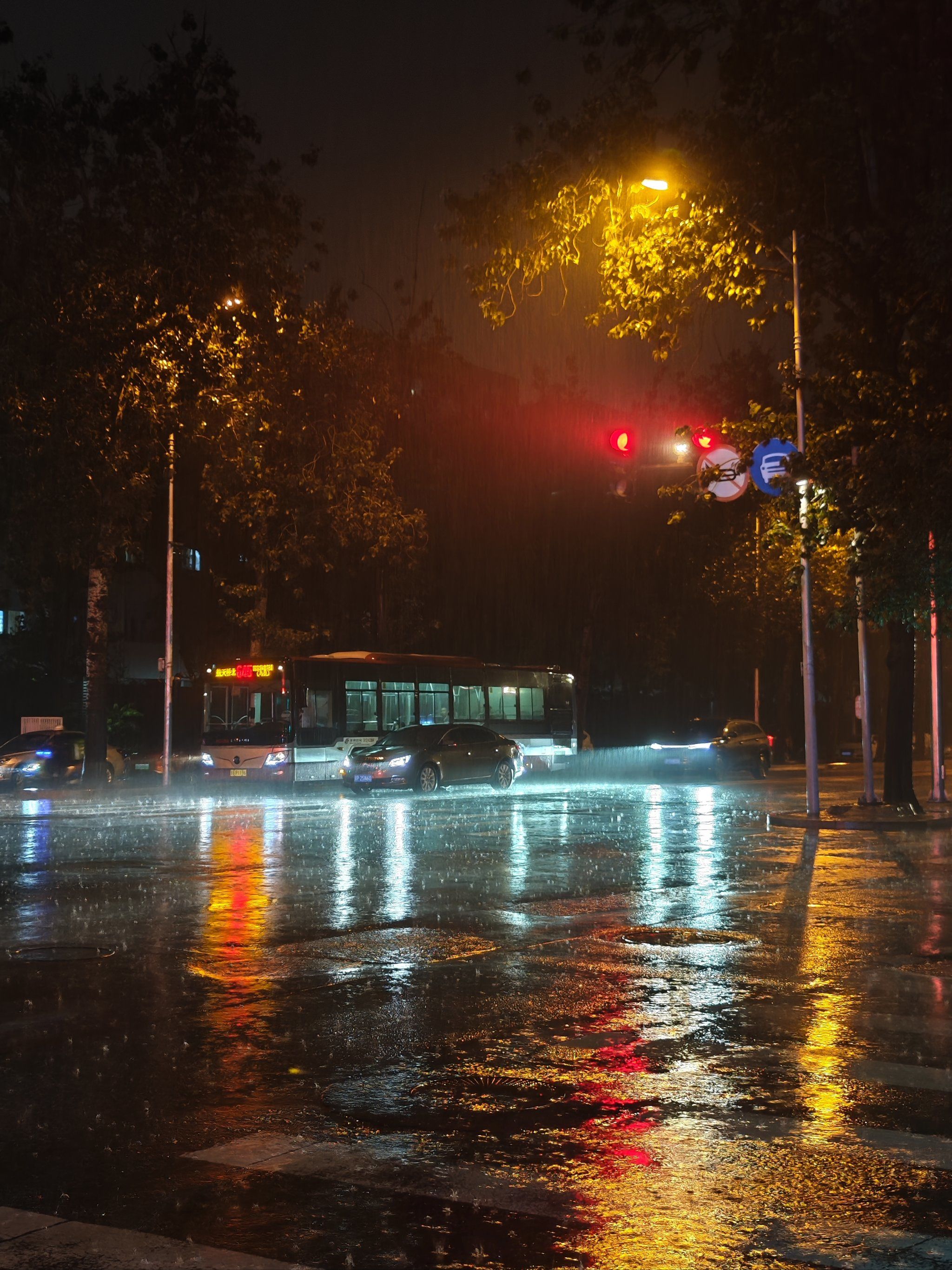 牡丹园的大雨呀