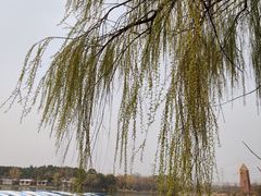 -昆山城市生态森林公园