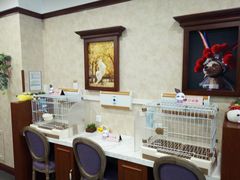 -宠爱国际动物医院· 猫科· 外科·中兽医(长白店)