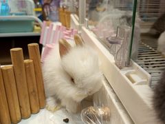 -江南环球港