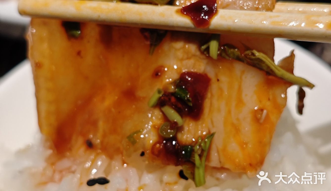 0元购福利菜品——香椿拌白肉  都吃到了吧？