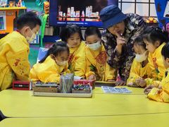 -杨梅红艺术教育(西安高新唐延教学中心)