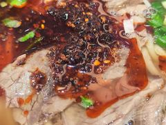 -苏氏牛肉面(丰北桥店)