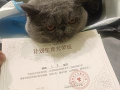 -悦宠动物医院(京丰分院)