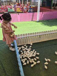 -萌宠亲子动物乐园(槐房万达店)