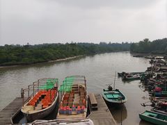 -东寨港红树林旅游区