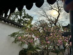 -拙政园