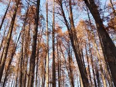 -同里国家湿地公园