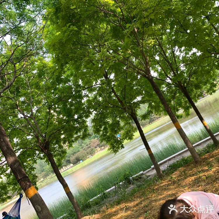 最爱鸡味圈，虽然自己知道没有肌肉啥事儿，都是调料