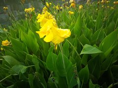 -白塘生态植物园