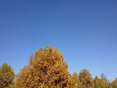 -和园景逸大酒店朗月汤泉