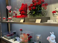 -ROSEONLY诺誓(青岛万象城店)