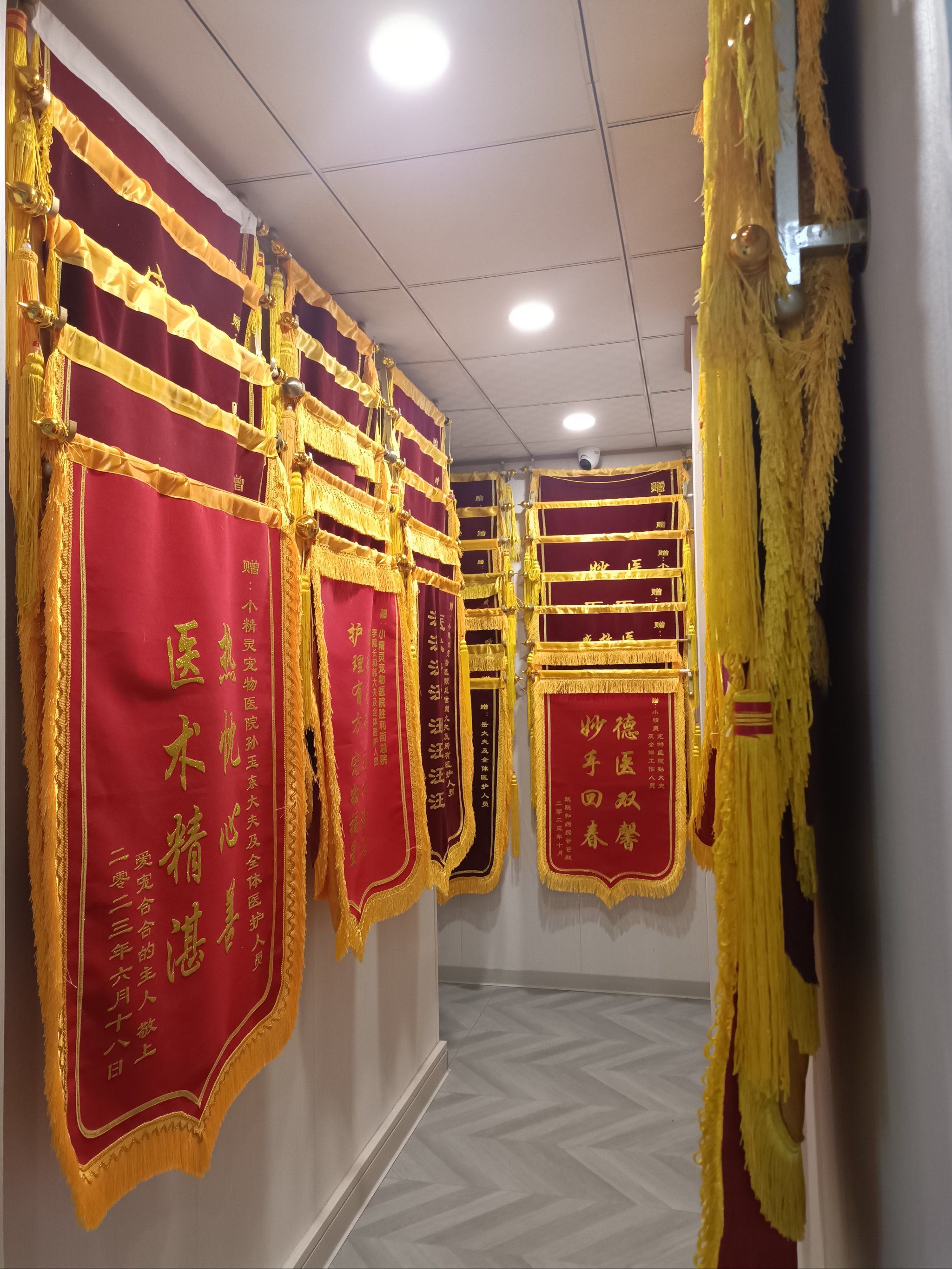 宠物医院的锦旗