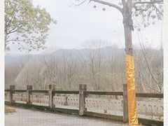 -炎帝陵景区