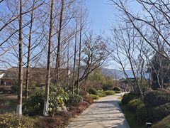 -雅达·阳羡溪山小镇中心
