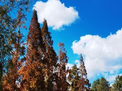 -滇池海埂公园