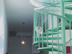 -有猫主题·治愈系猫咖(曾厝垵店)