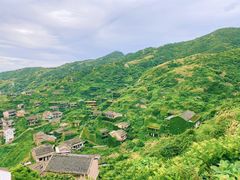 -枸杞岛