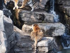 -宁波野生动物园