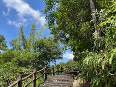 -广州白江湖森林公园