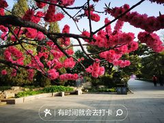 -国家植物园