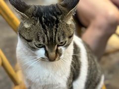 -铜瓢江湖兔火锅(水碾河社区店)