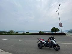 -四明山国家森林公园