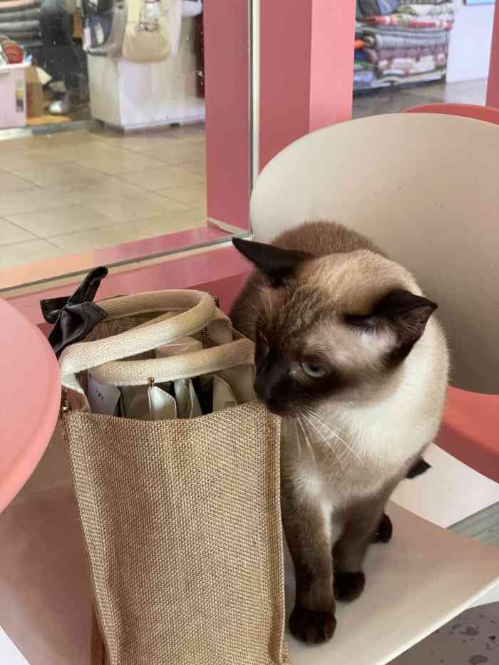 喵匠猫主题咖啡(和平广场店)