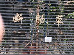 -广州神农草堂中医药博物馆