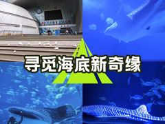 -烟台海昌鲸鲨海洋公园