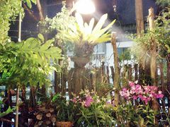-自然餐厅(Phuket)