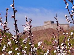 -居庸关长城