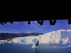 -翱翔飞越地平线