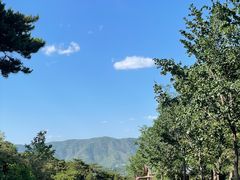 -北京西山国家森林公园