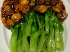 -新侨小馆(东直门北小街店)