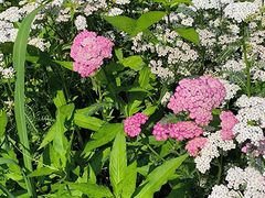 -长春公园(普阳街道)