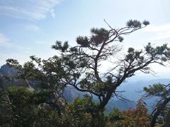 -崂山巨峰游览区