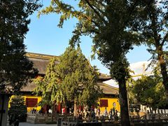 -西园戒幢律寺