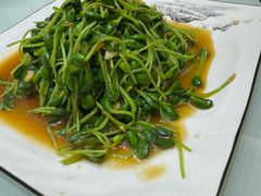 小炒豆苗-老德州四合院·德州菜(天衢路店)