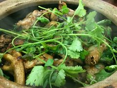 -渔鸽皇酒楼(鸿大广场店)