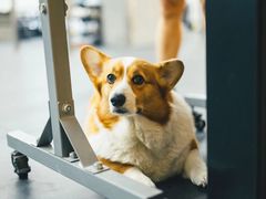 -Stud CrossFit(泰丰大厦店)