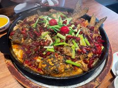 -老板恋上鱼(恒隆广场店)