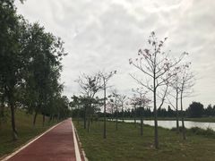 -鹤之洲湿地公园
