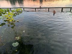 -什刹海