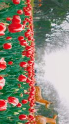 -玄武湖景区-情侣园游乐场